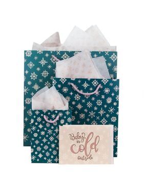 Gift Bags Set with Tissue Paper & Greeting Cards